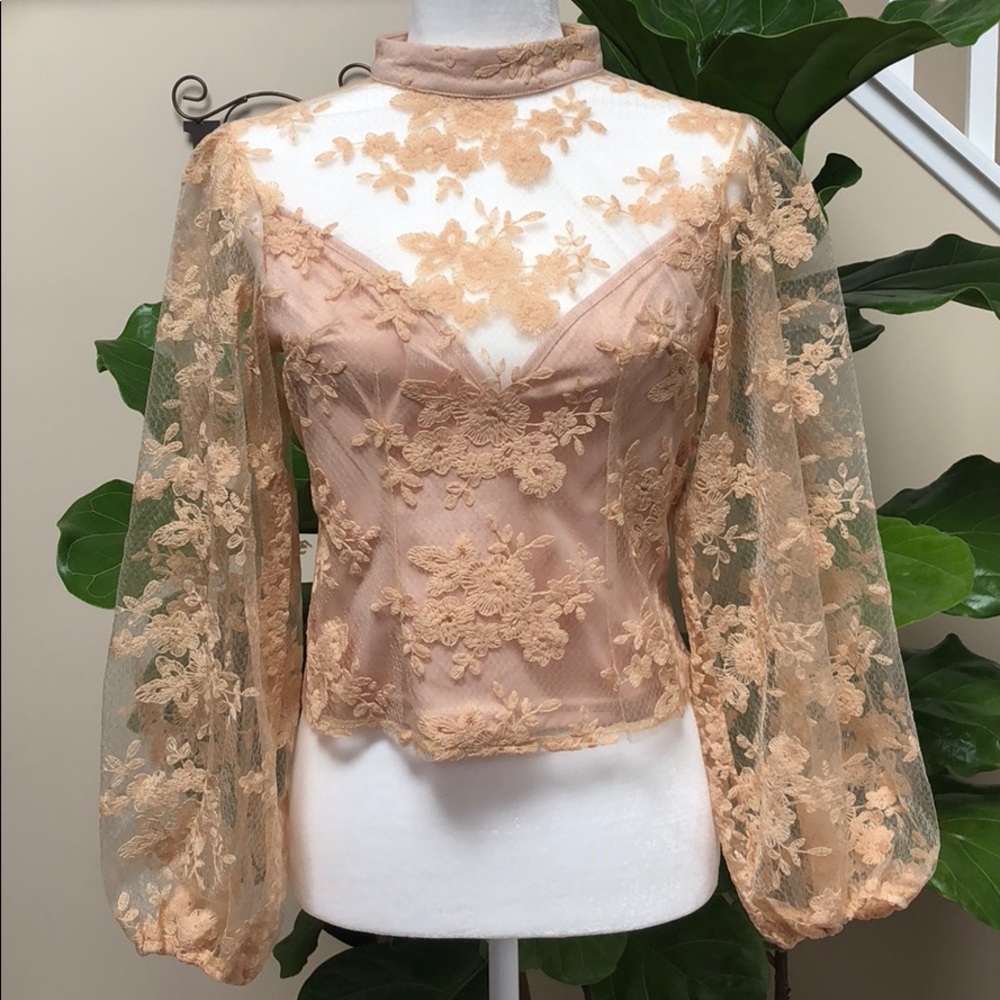 Tres-Long Sleeve, transparent on the back.